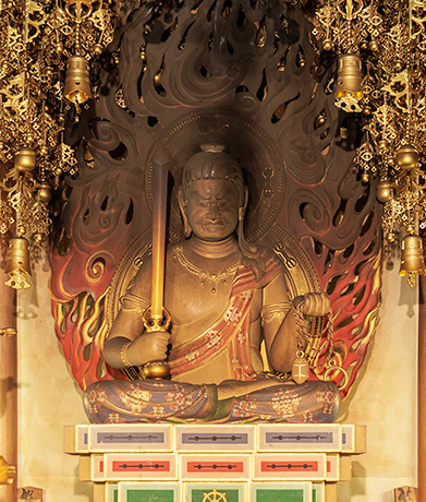 本堂護摩堂 不動明王の写真